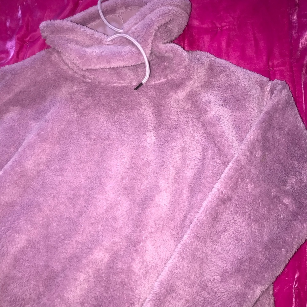 champion sweatshirt